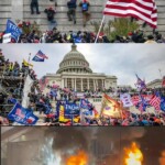 combined_protest_comparison